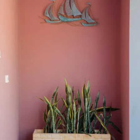 Apartment Nirvana Homes *